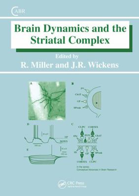 Brain Dynamics and the Striatal Complex 9057024780 Book Cover