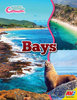 Bays 1791128238 Book Cover