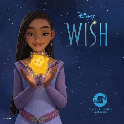 Disney Wish B0C9WFTX8L Book Cover