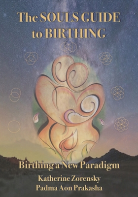 The Souls Guide to Birthing: Birthing a New Par... 0578315386 Book Cover