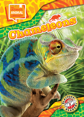 Chameleons B0FPMCKJF9 Book Cover