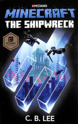 Minecraft: The Shipwreck 1529101417 Book Cover