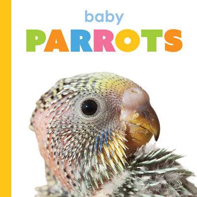 Baby Parrots B0F5493YHN Book Cover