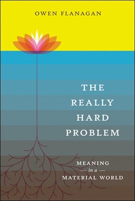 The Really Hard Problem: Meaning in a Material ... 0262512483 Book Cover