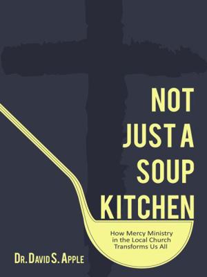 Not Just a Soup Kitchen 1619581744 Book Cover