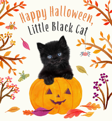 Happy Halloween, Little Black Cat: A Board Book 1419771191 Book Cover