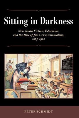 Sitting in Darkness: New South Fiction, Educati... 1617032077 Book Cover