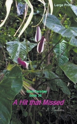 A Hit that Missed B0C2GMRLDB Book Cover