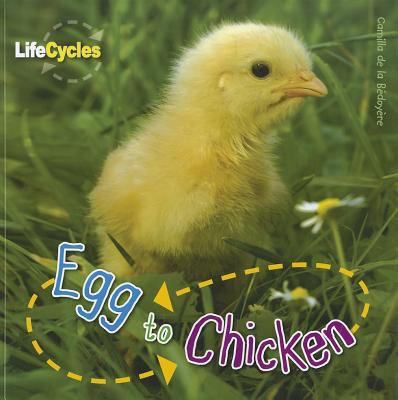 Egg to Chicken 1926853377 Book Cover