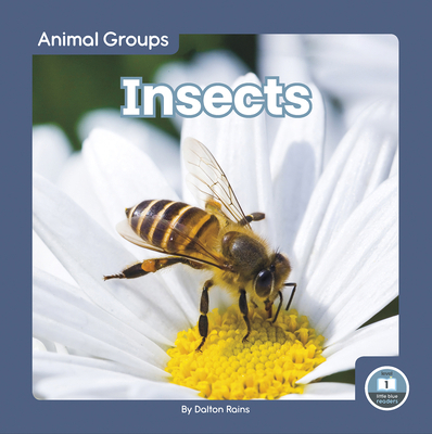 Insects 1646198093 Book Cover