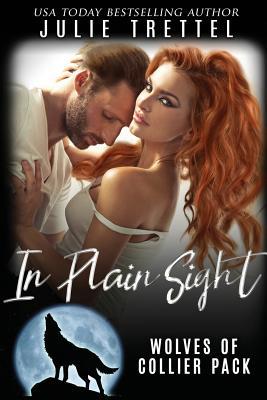 In Plain Sight 1091073961 Book Cover