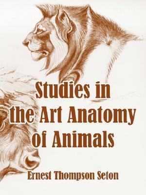 Studies in the Art Anatomy of Animals 1410106632 Book Cover