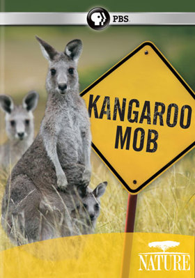 Nature: Kangaroo Mob B006JN8702 Book Cover