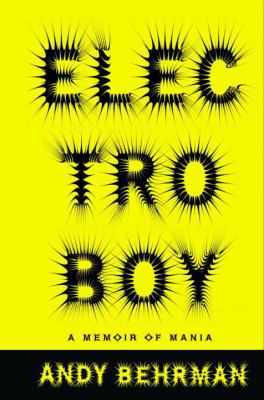 Electroboy: A Memoir of Mania 0375503587 Book Cover