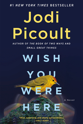 Wish You Were Here 1984818414 Book Cover