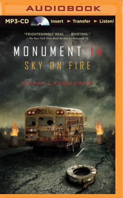 Sky on Fire 1469257076 Book Cover