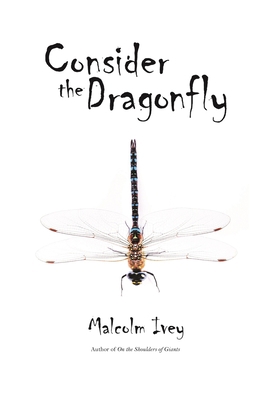 Consider the Dragonfly 1511639091 Book Cover