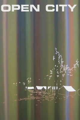 Open City #24 1890447447 Book Cover