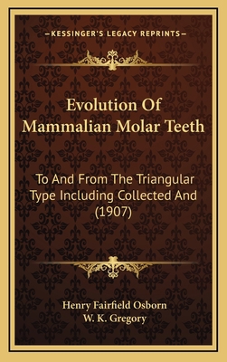 Evolution Of Mammalian Molar Teeth: To And From... 1164742949 Book Cover