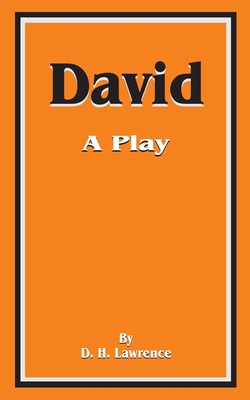 David: A Play 1589637119 Book Cover