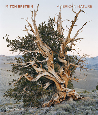 Mitch Epstein: American Nature 8857253120 Book Cover