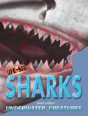 Life-Size Sharks : And Other Underwater Creatures 1844584232 Book Cover