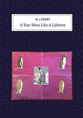 A Year More Like a Lifetime 1291616403 Book Cover