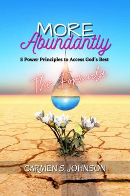 Paperback More Abundantly: 5 Power Principles to Access God's Best : The Formula Book