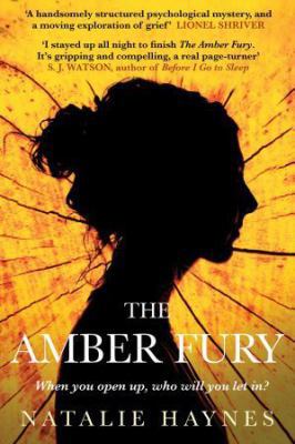 Amber Fury 1782392769 Book Cover