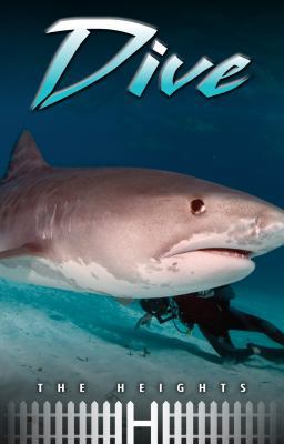 Dive 1616512822 Book Cover