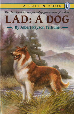 Lad: A Dog 0140364749 Book Cover