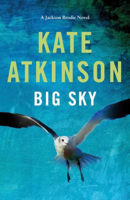 Big Sky 0857526111 Book Cover