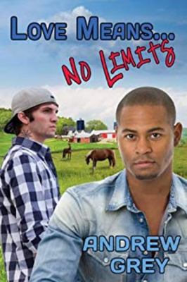 Love Means... No Limits: Volume 9 1623803098 Book Cover