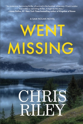 Went Missing: A Sam Nolan Novel 1685133657 Book Cover