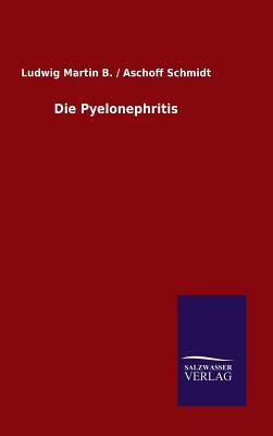 Die Pyelonephritis [German] 3846077720 Book Cover
