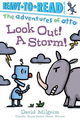 Look Out! a Storm!: Ready-To-Read Pre-Level 1 1534441972 Book Cover