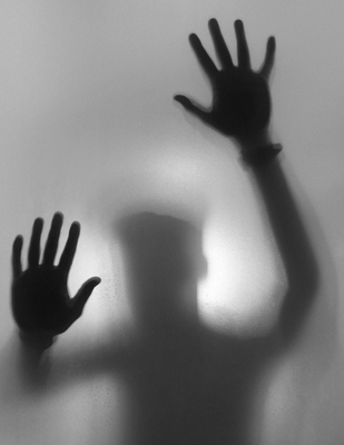 What Is Life: Different Types of Life in the Fo... B0CDNM83XQ Book Cover