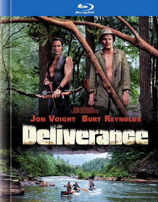 Deliverance            Book Cover