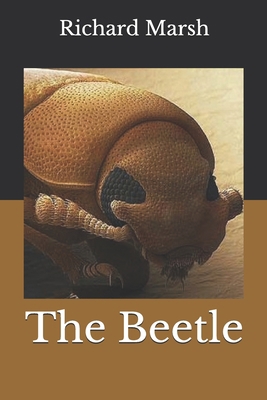 The Beetle B093MYW7LK Book Cover