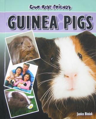 Guinea Pigs (Our Best Friends) 1932904298 Book Cover