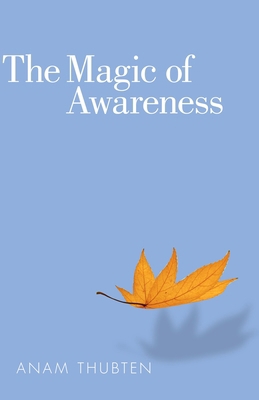 The Magic of Awareness B00D21G1FW Book Cover