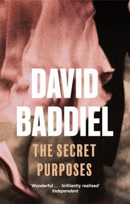 The Secret Purposes. David Baddiel 0349117462 Book Cover