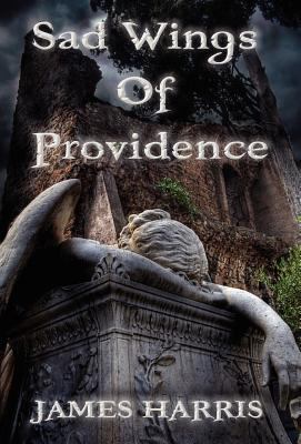 Sad Wings of Providence 1457505142 Book Cover