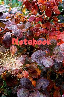 Notebook: Notebook / Diary With Colored Cover -... 1073362493 Book Cover