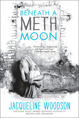 Beneath a Meth Moon: An Elegy 0142423920 Book Cover