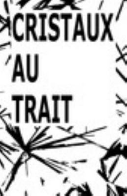 Hardcover Cristaux Au Trait [French] Book
