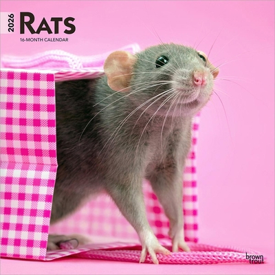 Rats 2026 12 X 24 Inch (Hanging) Monthly Square... B0DYLG8WP1 Book Cover