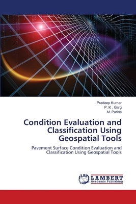 Condition Evaluation and Classification Using G... 620292358X Book Cover