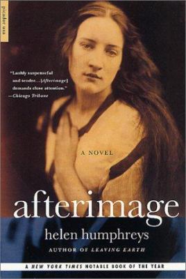 Afterimage: A Novel 0312420641 Book Cover