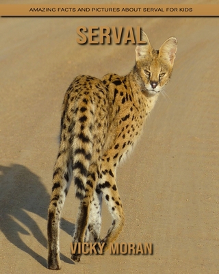 Paperback Serval: Amazing Facts and Pictures about Serval for Kids [Large Print] Book